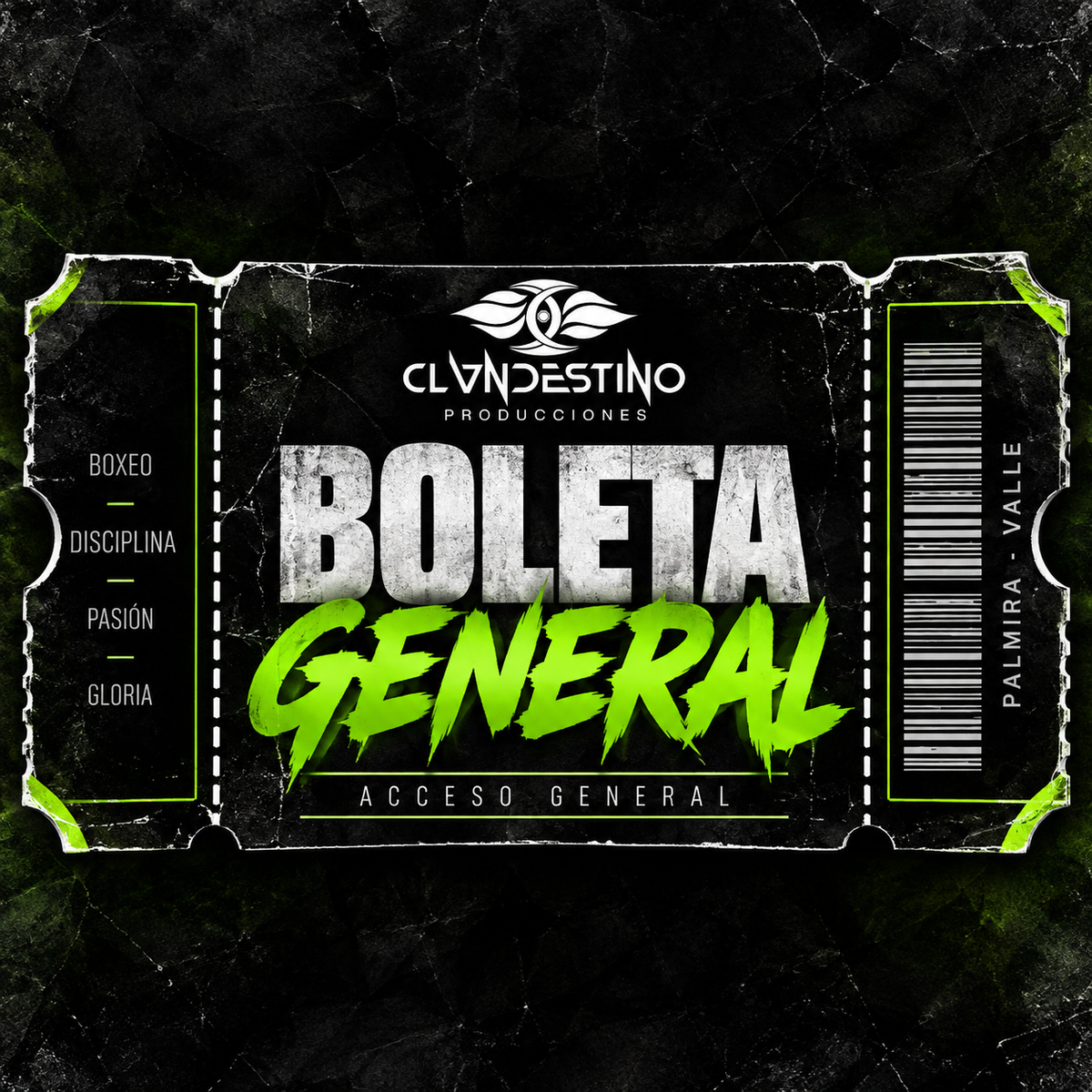 COLISSEUM FIGTH NIGTH 2026 | CLANDESTINO CULTURA